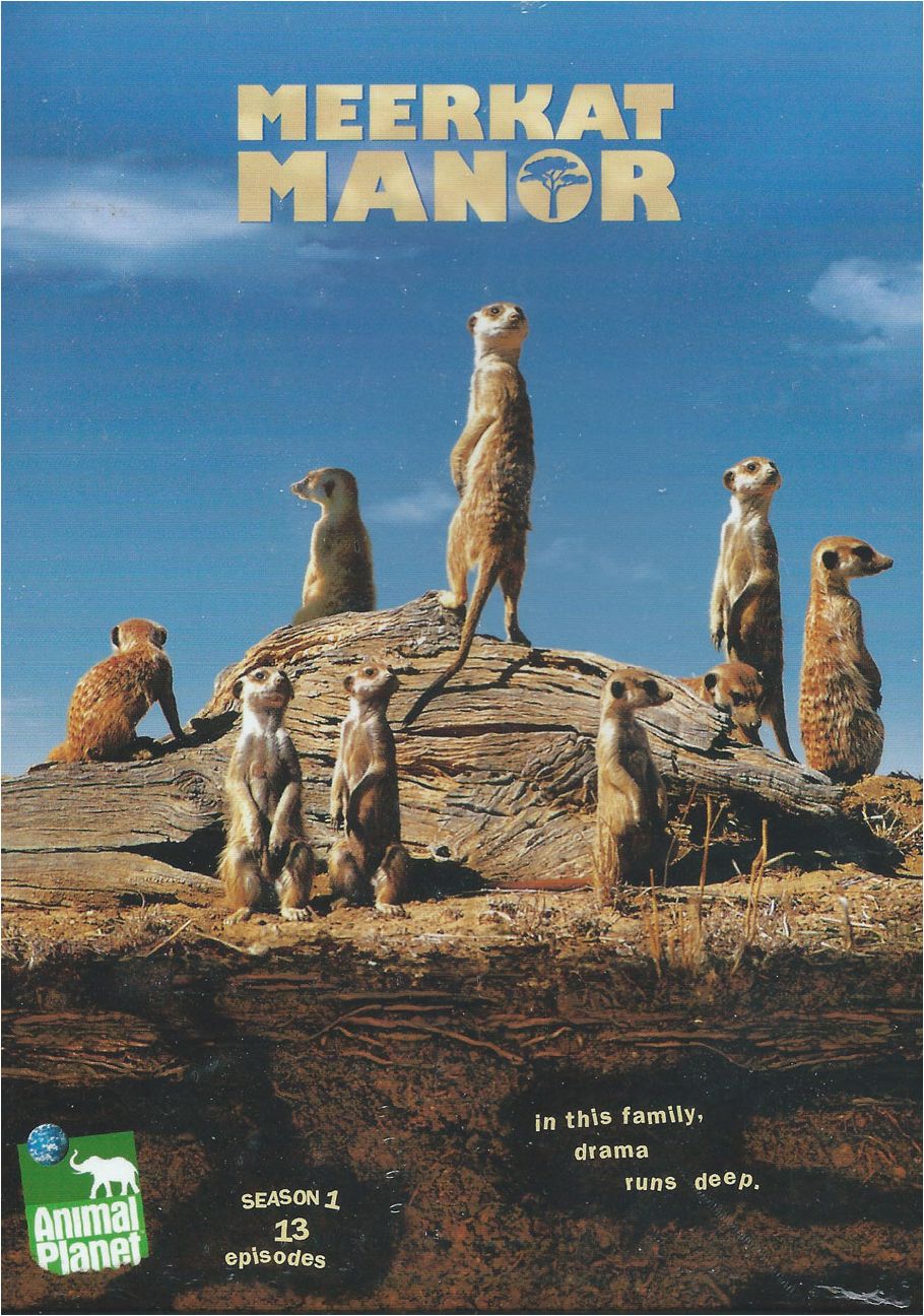 Meerkat Manor: Season One [2 Discs]