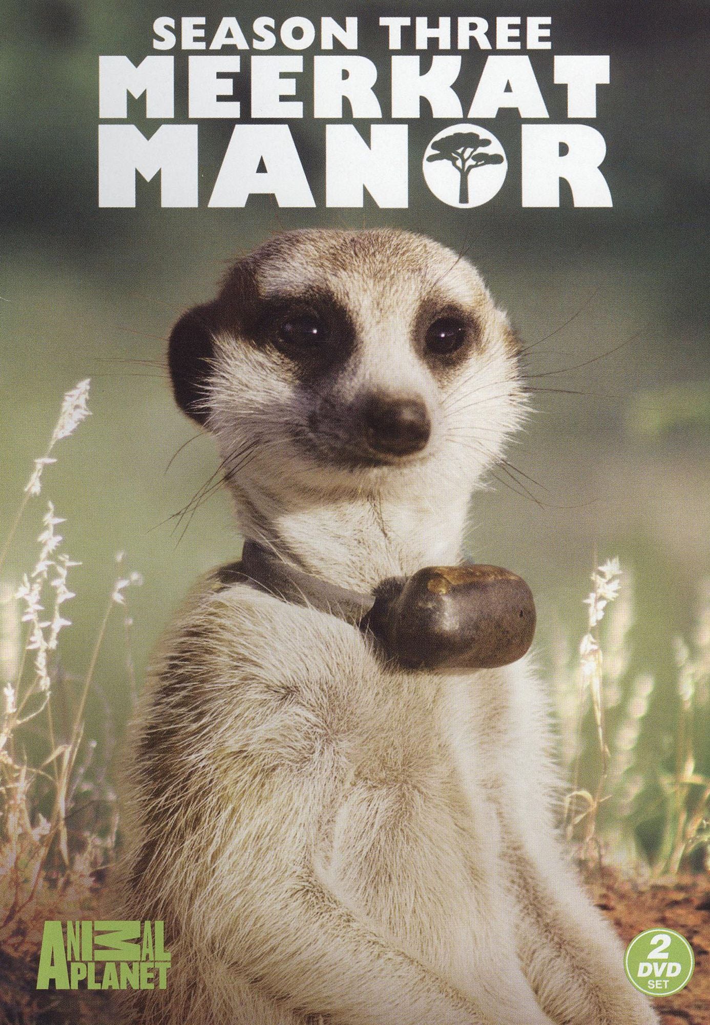 Meerkat Manor: Season Three [2 Discs]