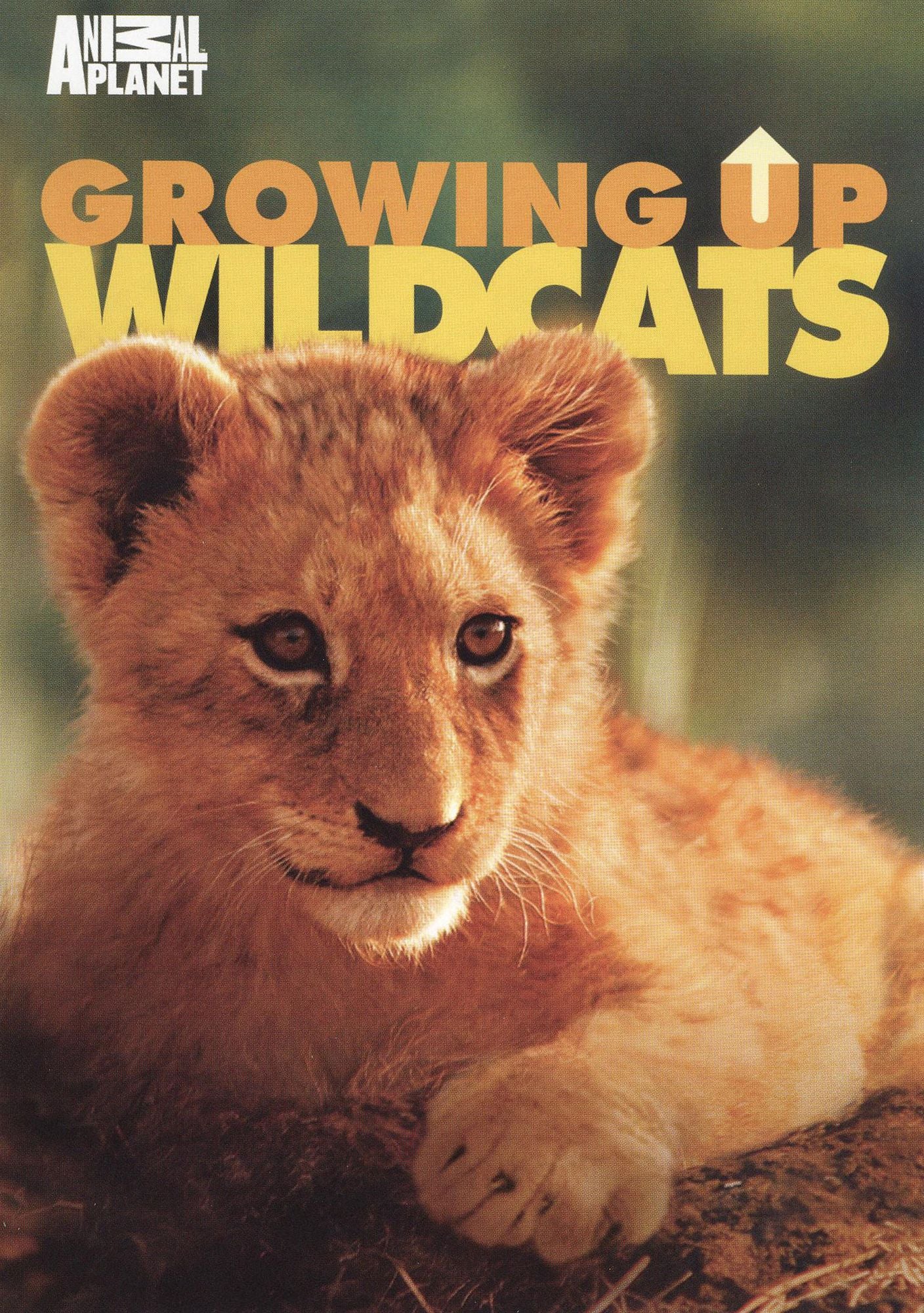 Growing Up Wild Cats