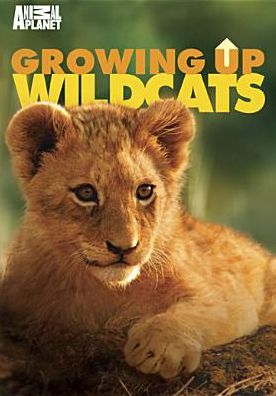 Growing Up Wild Cats