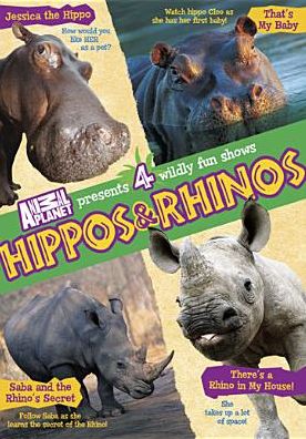 Hippos & Rhinos