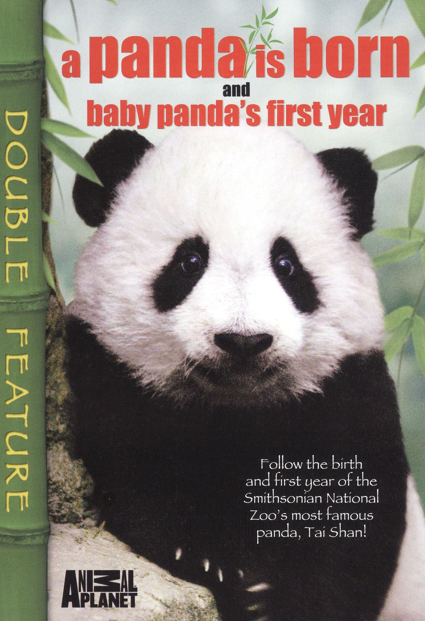 A Panda Is Born/Baby Panda's First Year