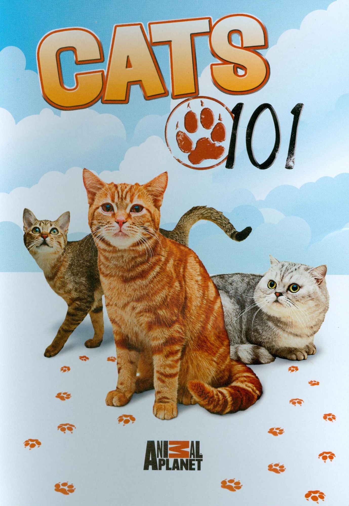 Cats 101