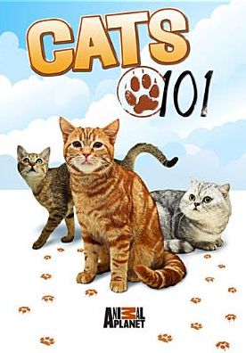 Cats 101