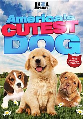 America's Cutest Dog/America's Cutest Cat