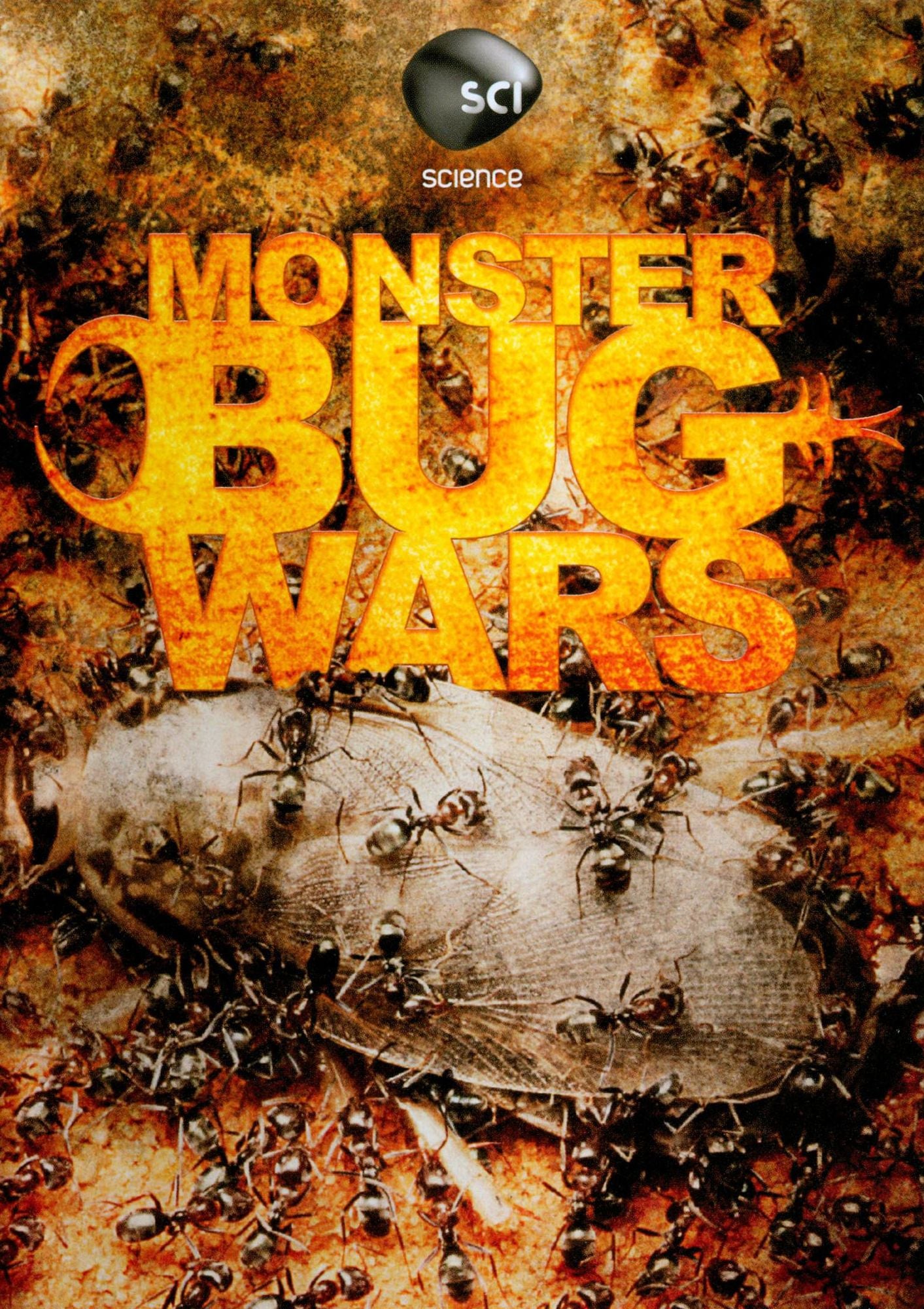 Monster Bug Wars