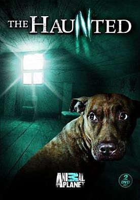 The Haunted [2 Discs]