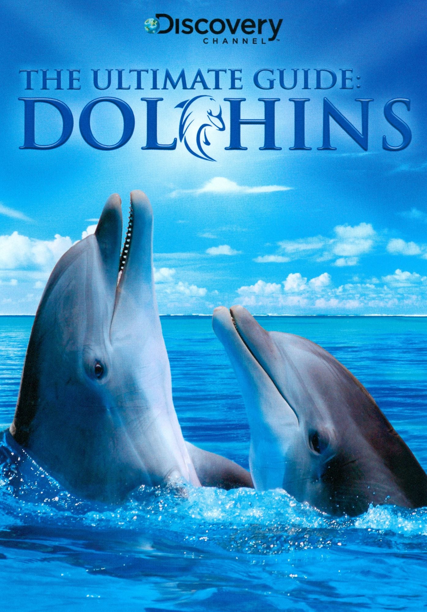 The Ultimate Guide: Dolphins