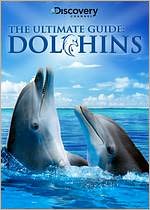The Ultimate Guide: Dolphins