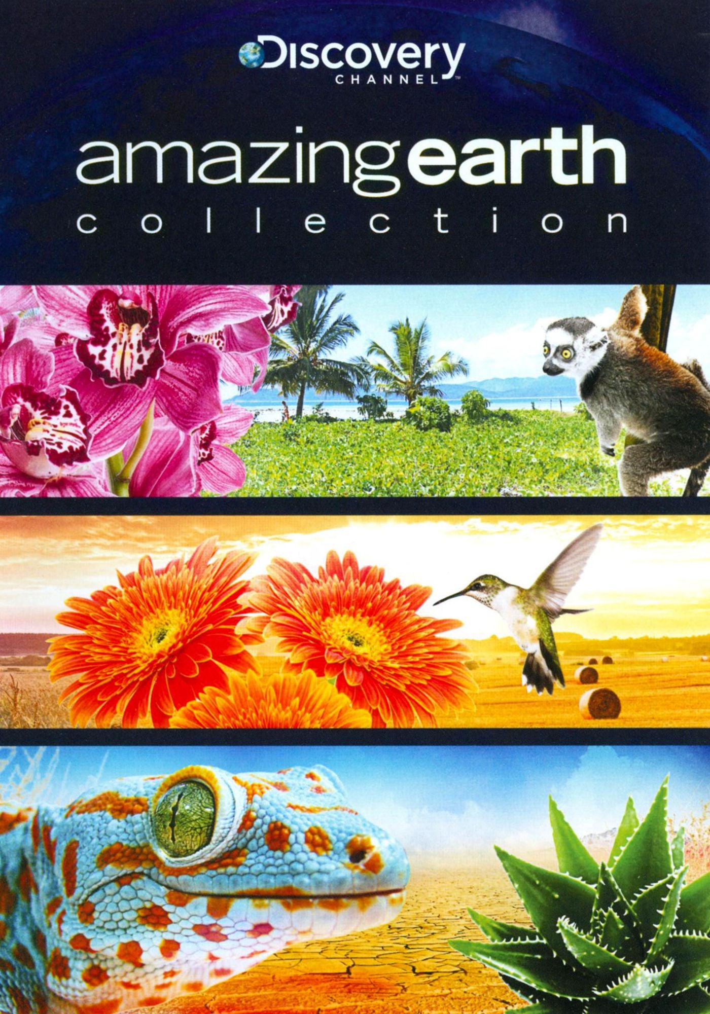Amazing Earth Collection