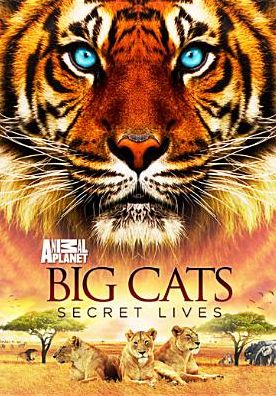 Big Cats: Secret Lives