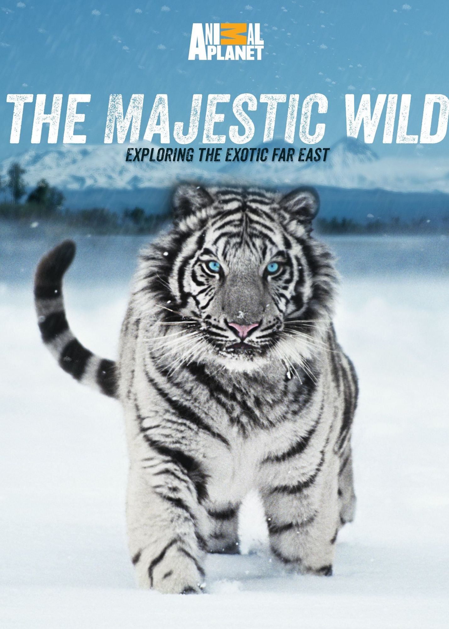 The Majestic Wild