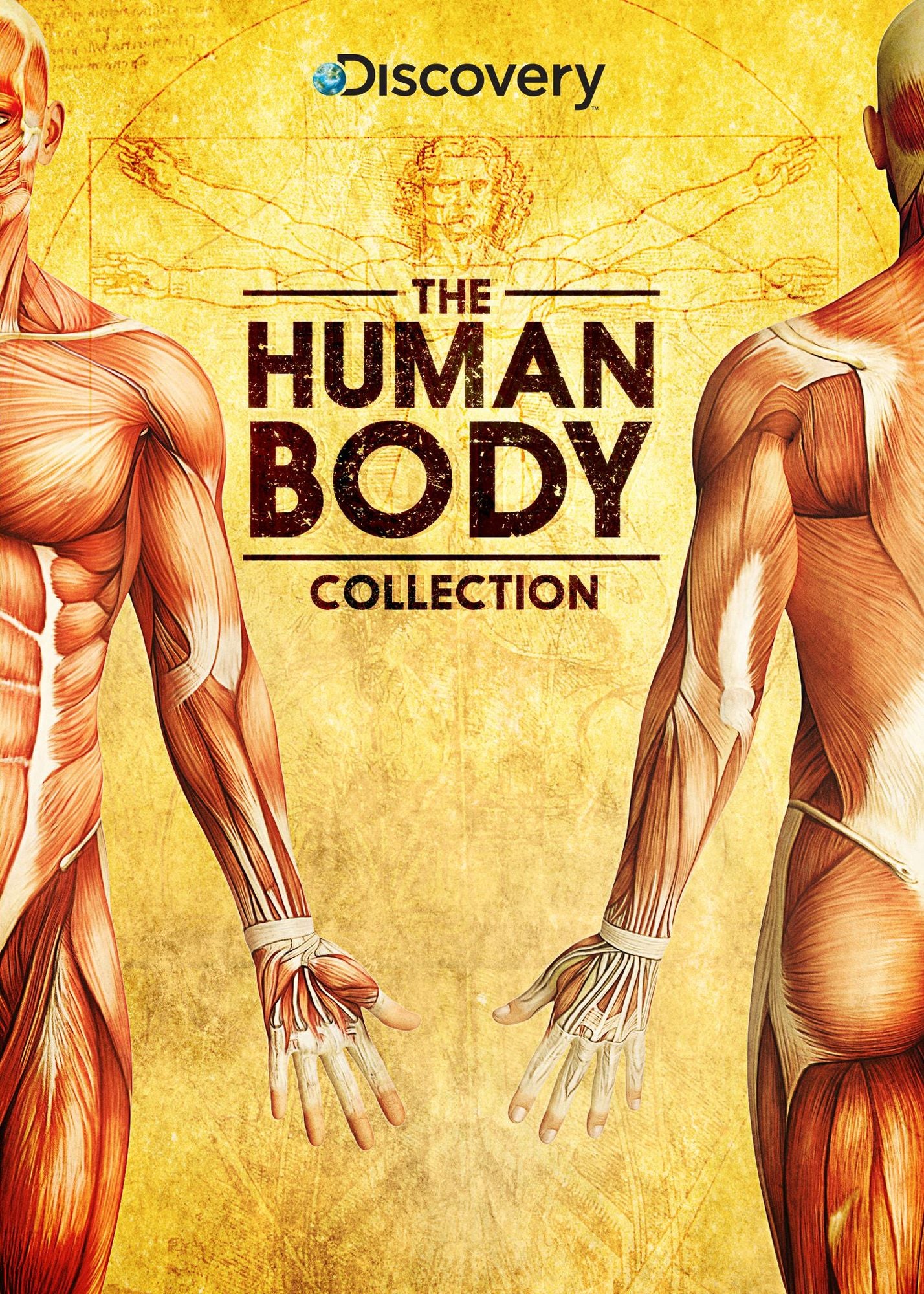 Human Body Collection