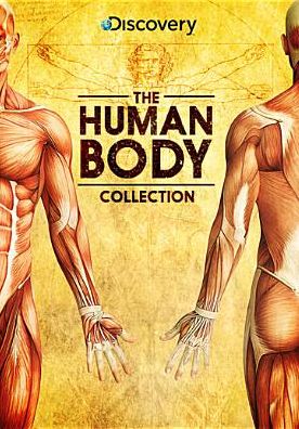 Human Body Collection