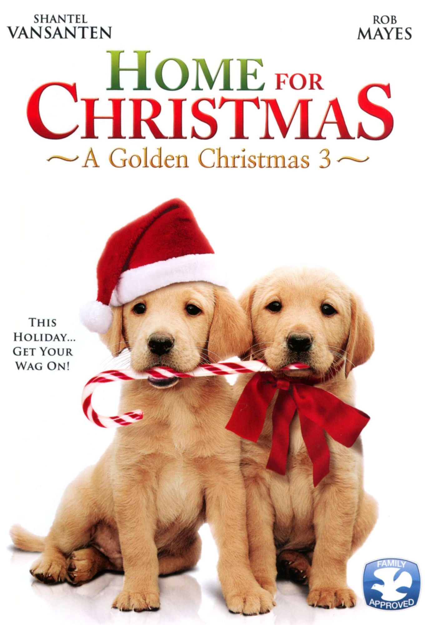 A Golden Christmas 3: Home For Christmas