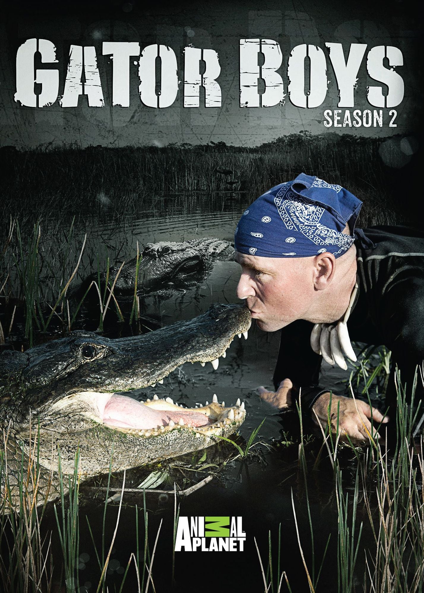 Gator Boys Season 2