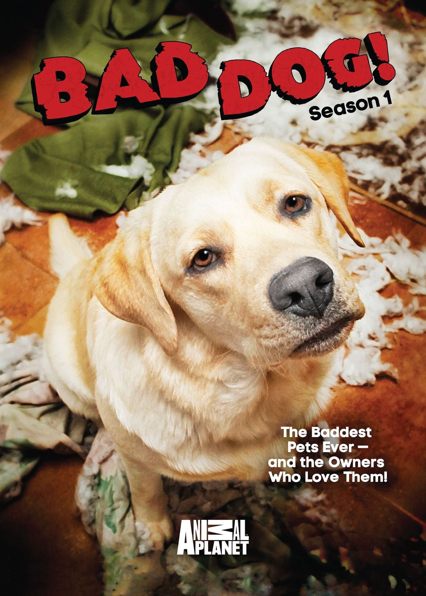 Bad Dog: Season 1