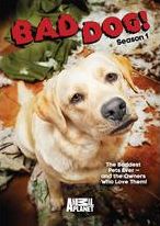 Bad Dog: Season 1