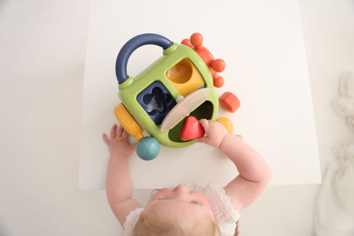 Bio Activity Shape Sorter