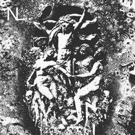 Harvest Of The Carcass