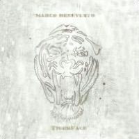 TigerFace