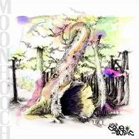 This Is Cave Music