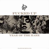 Year Of The Hare