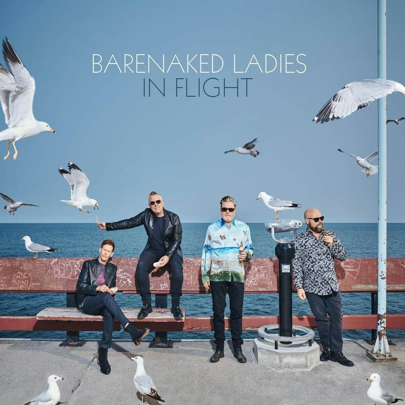 In Flight (Barenaked Ladies)