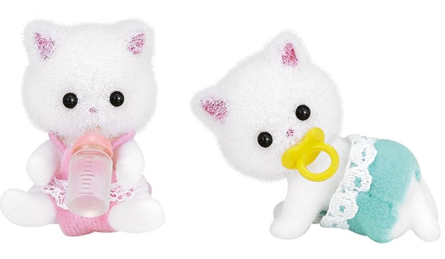 Persian Cat Twins