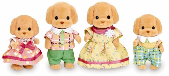 Toy Poodle Family