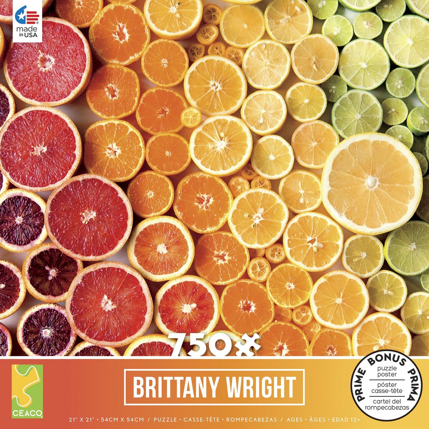 Citrus Gradient, Brittany Wright 750 Piece Puzzle