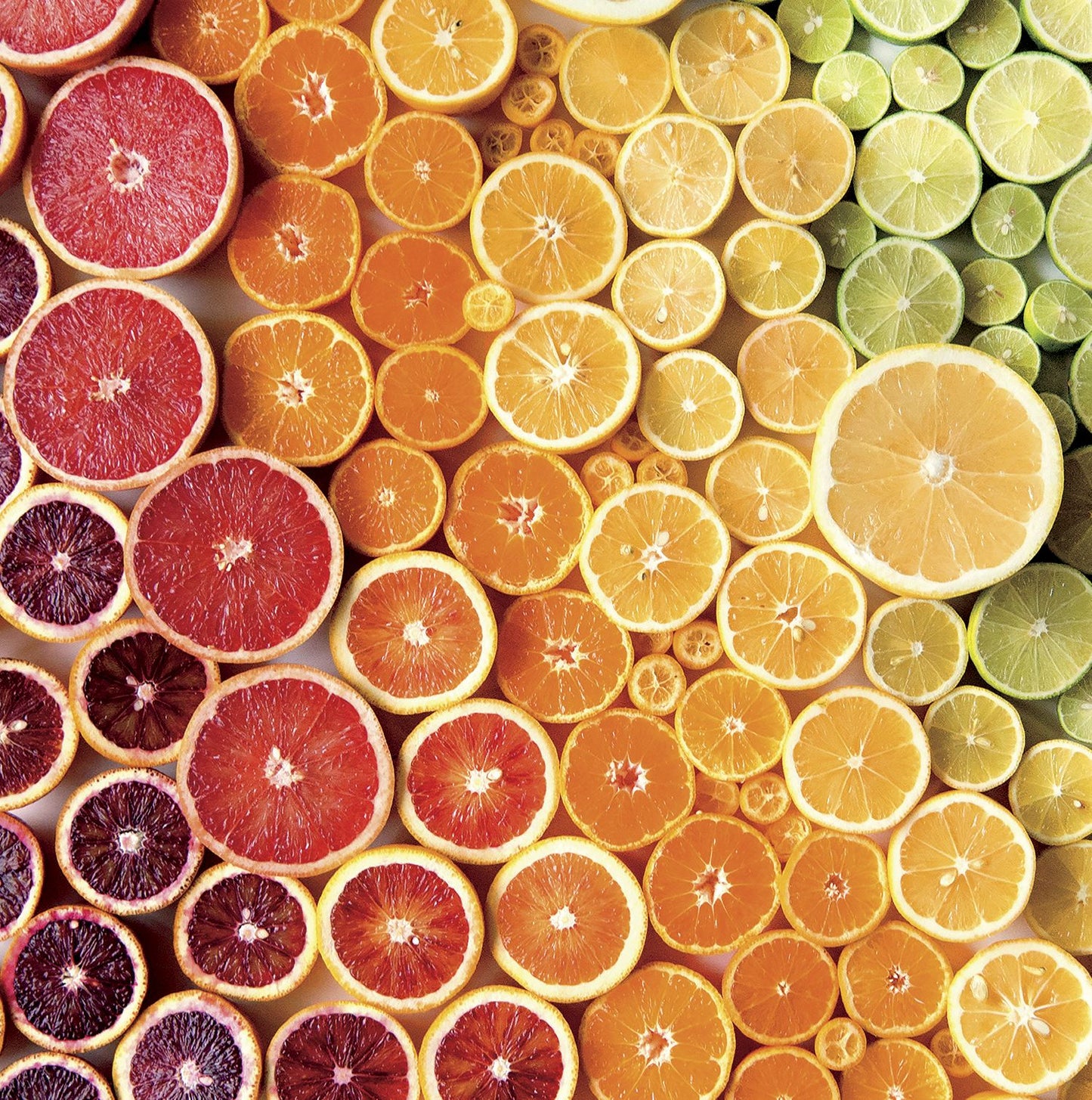 Citrus Gradient, Brittany Wright 750 Piece Puzzle