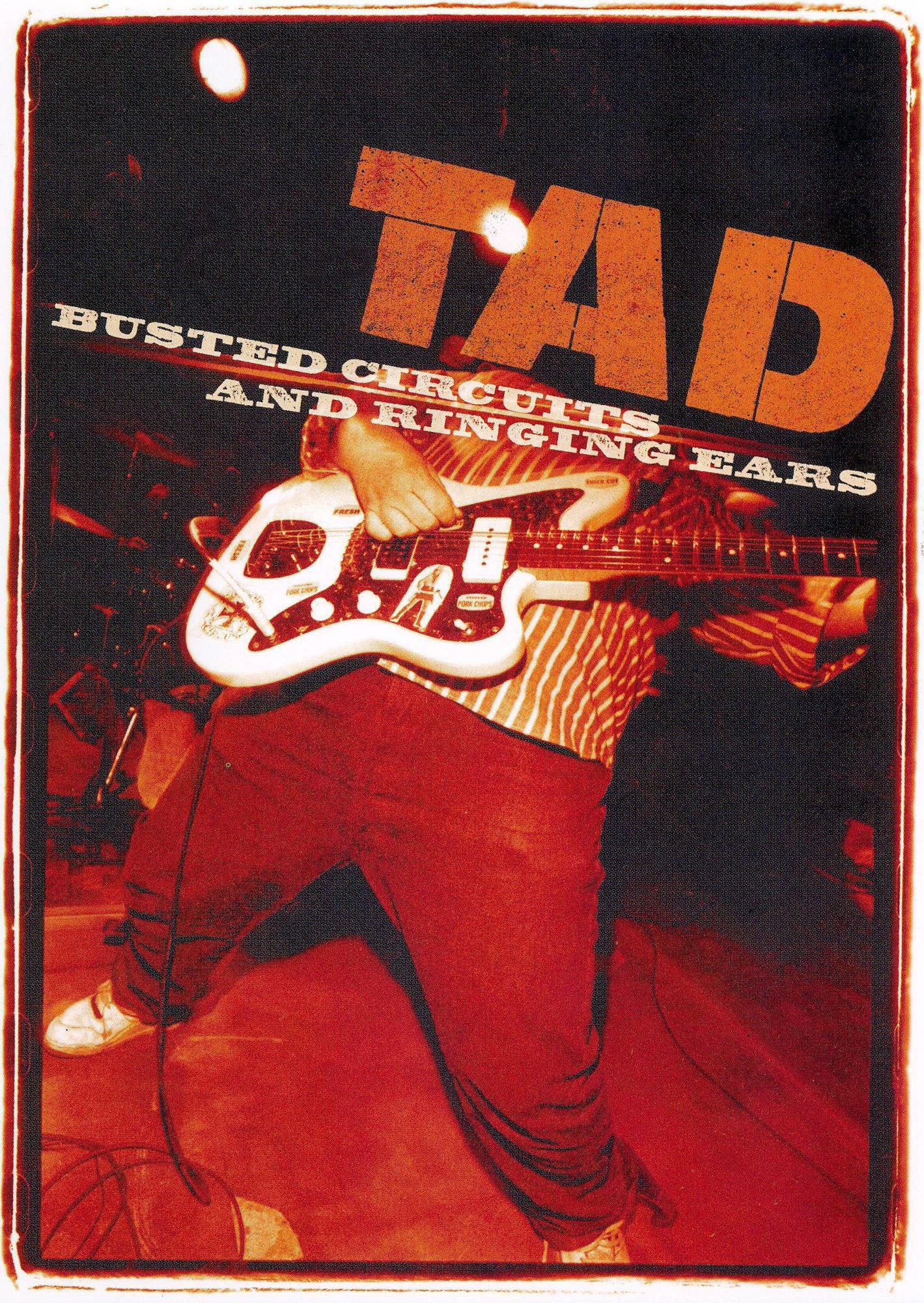 Tad: Busting Circuits and Ringing Ears