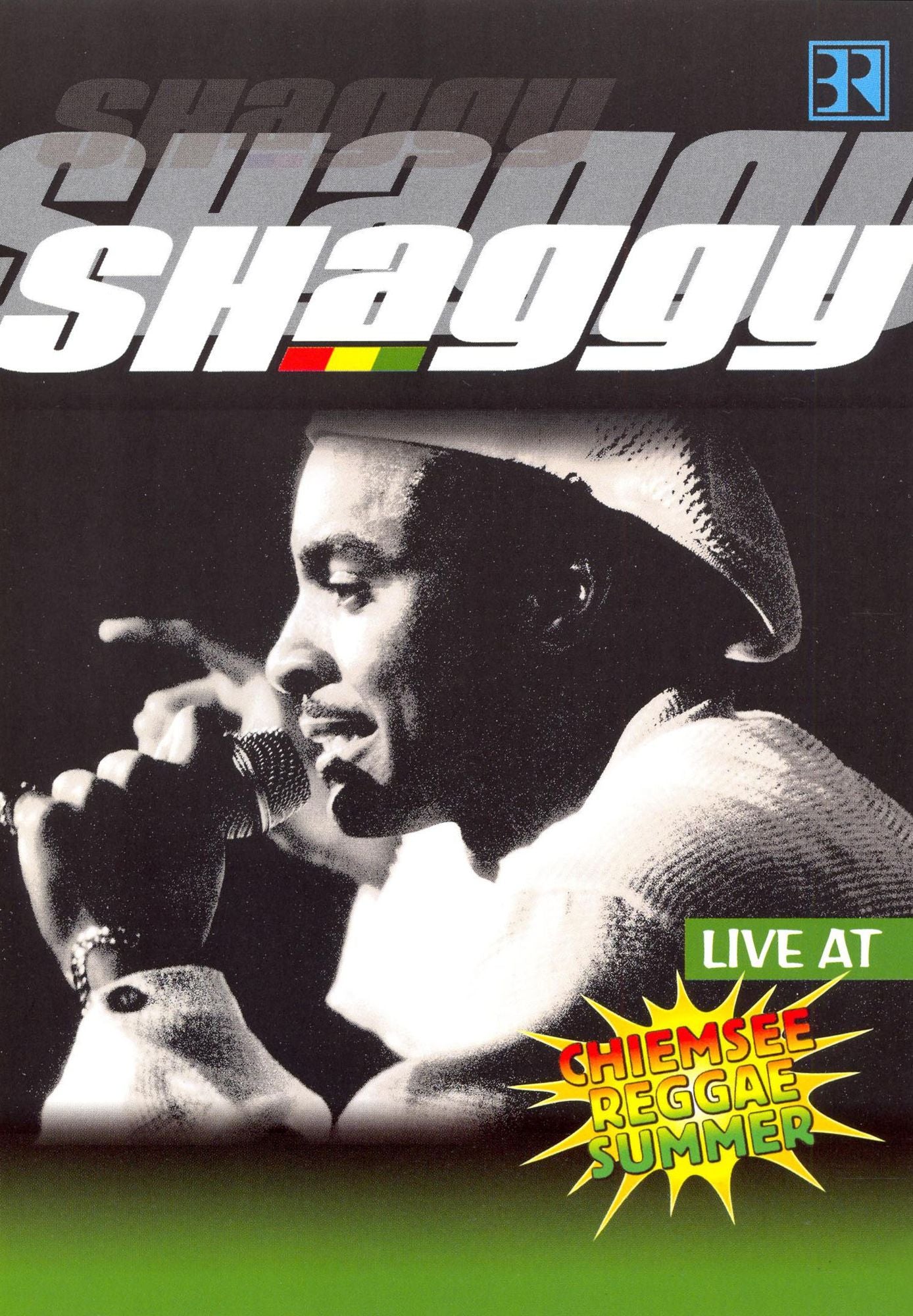 Shaggy: Live at Chiemsee Reggae Summer