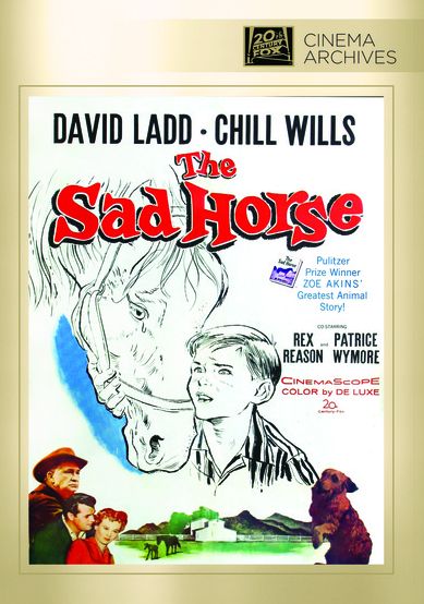 Sad Horse