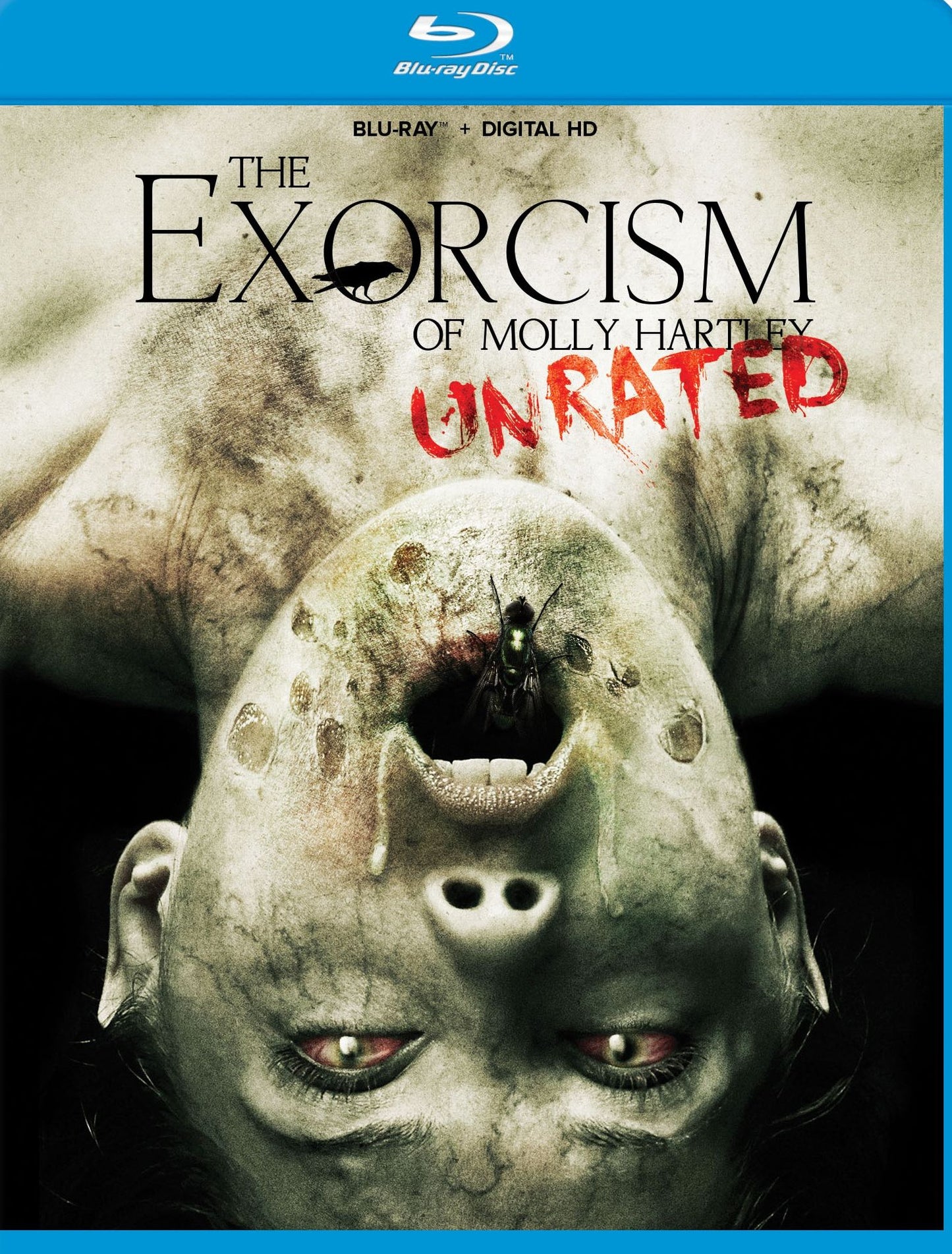 The Exorcism Of Molly Hartley