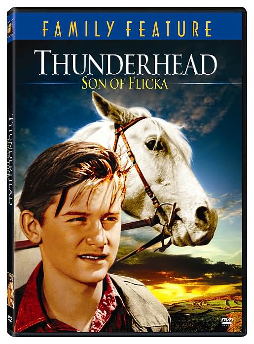 Thunderhead: Son Of Flicka