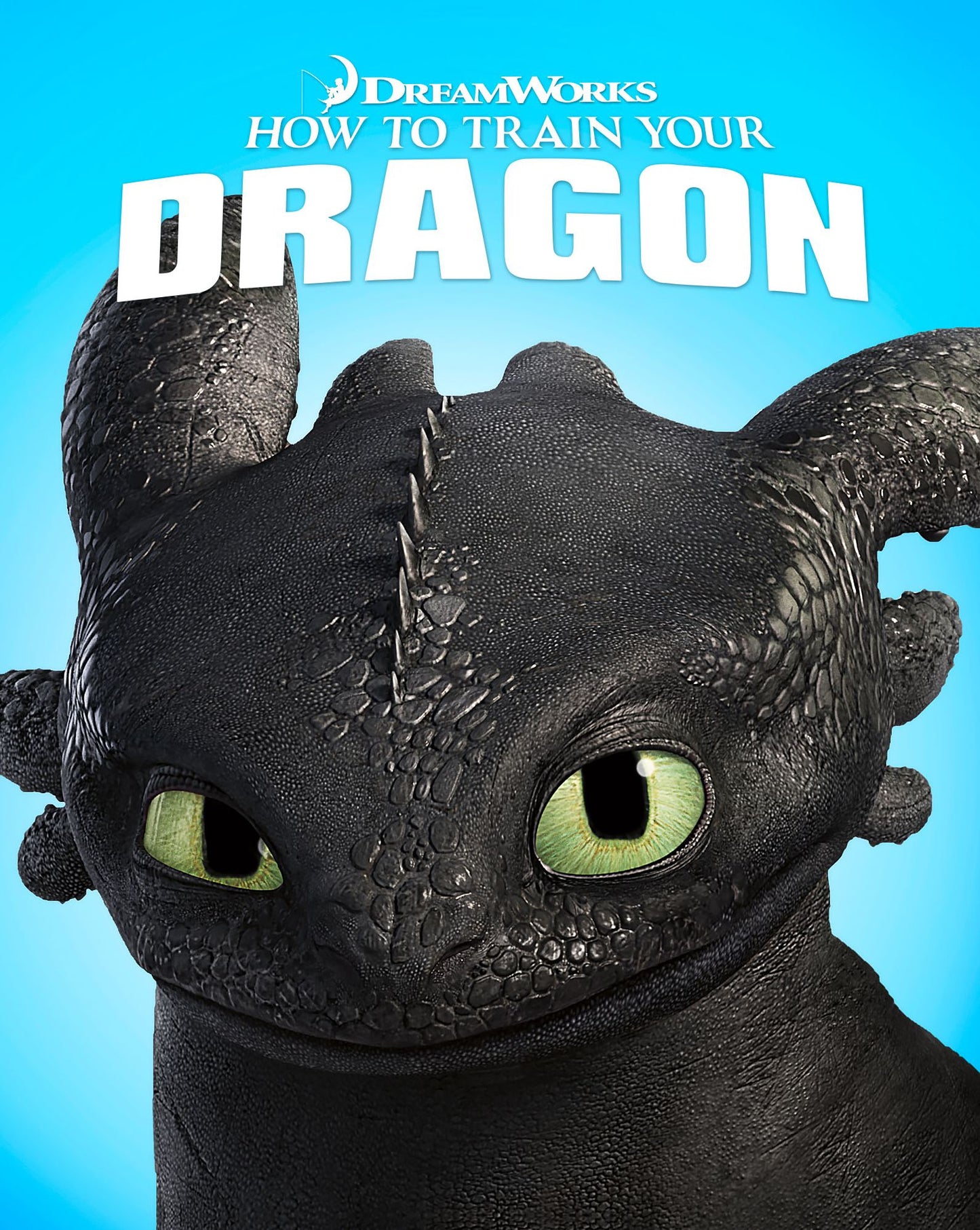 How To Train Your Dragon