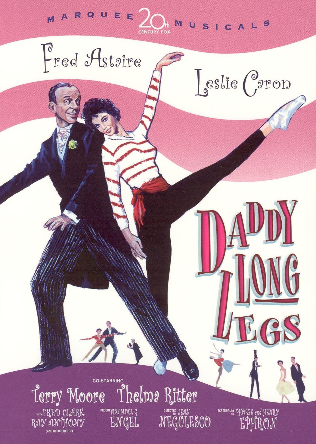 Daddy Long Legs