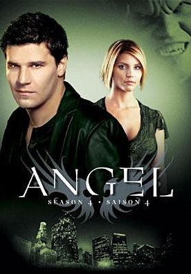 Angel: The Complete Fourth Season [6 Discs]