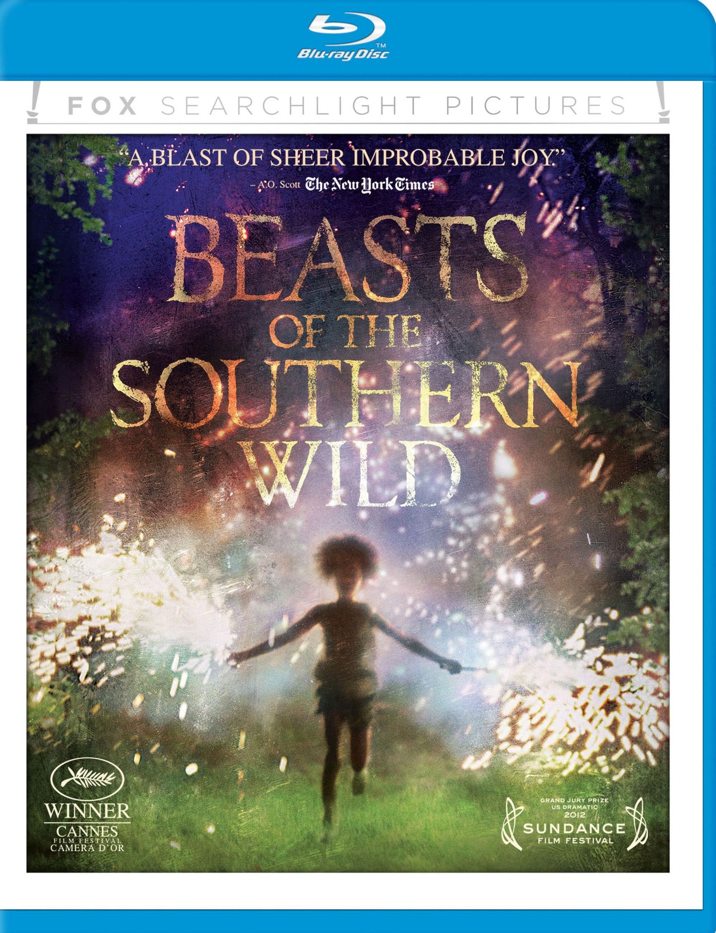 Beasts Of The Southern Wild