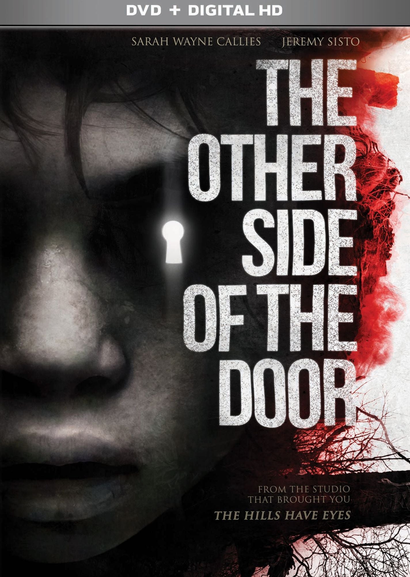 The Other Side Of The Door