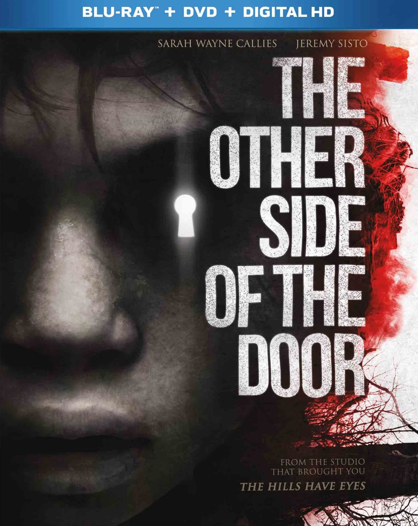 The Other Side Of The Door