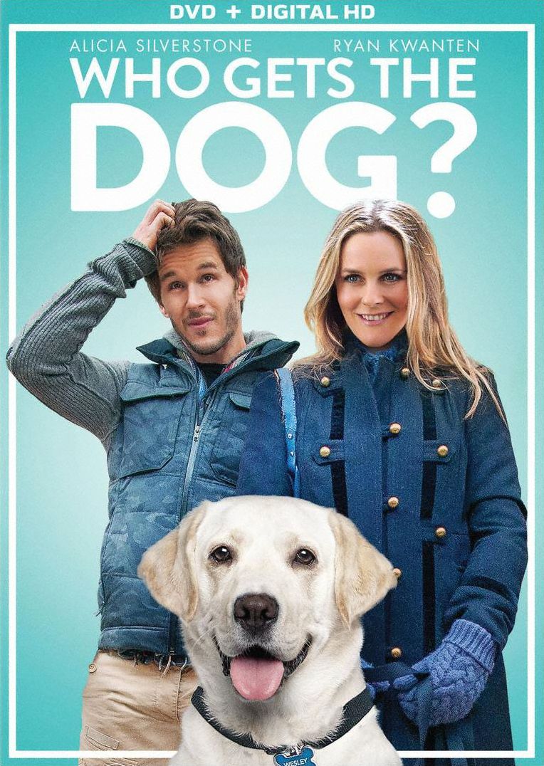 Who Gets the Dog?