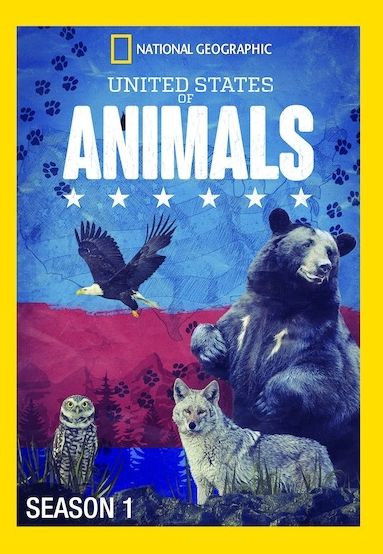 United States Of Animals: Season 1