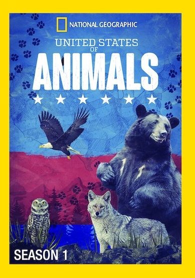 United States Of Animals: Season 1