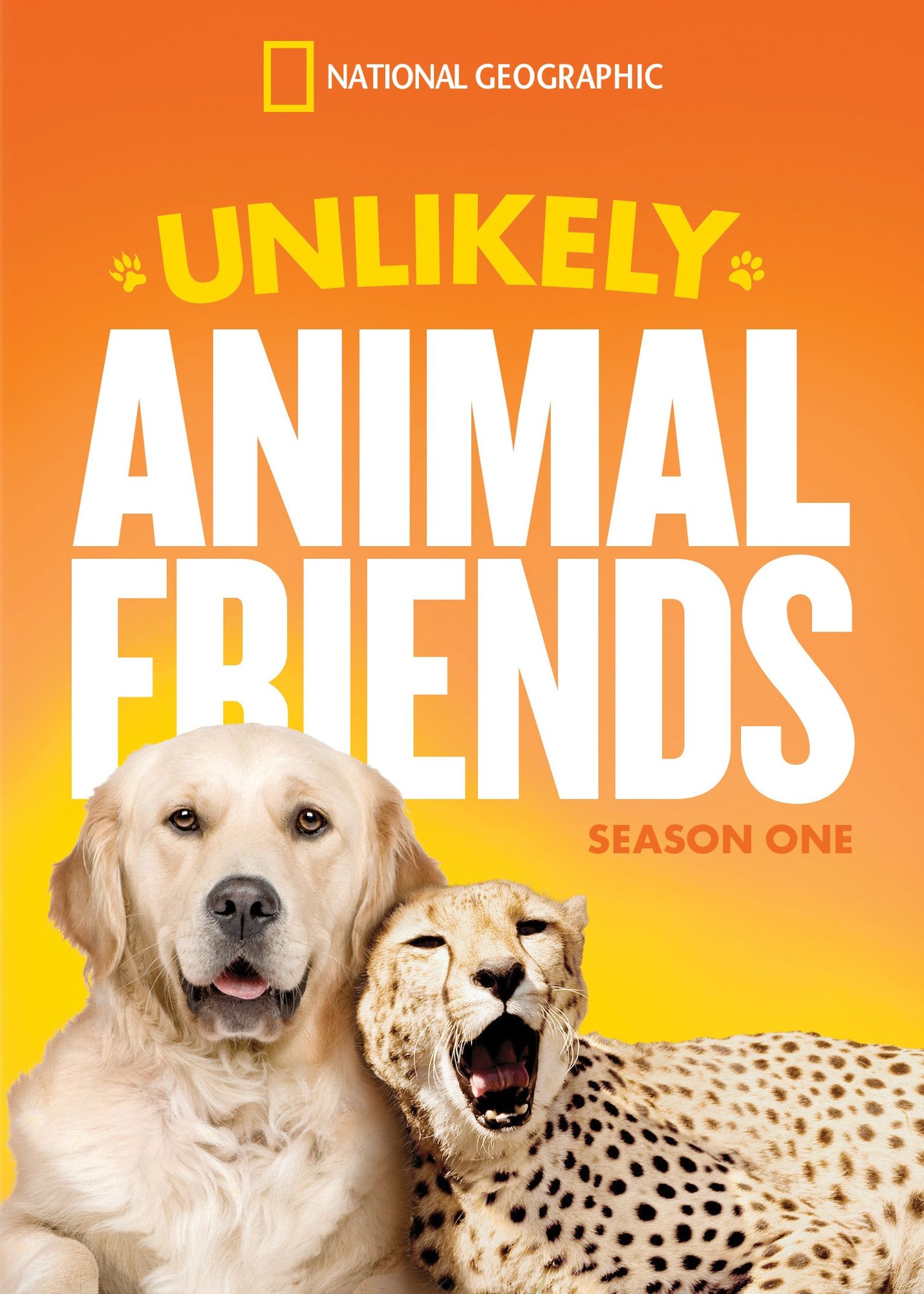 Unlikely Animal Friends: Season 1