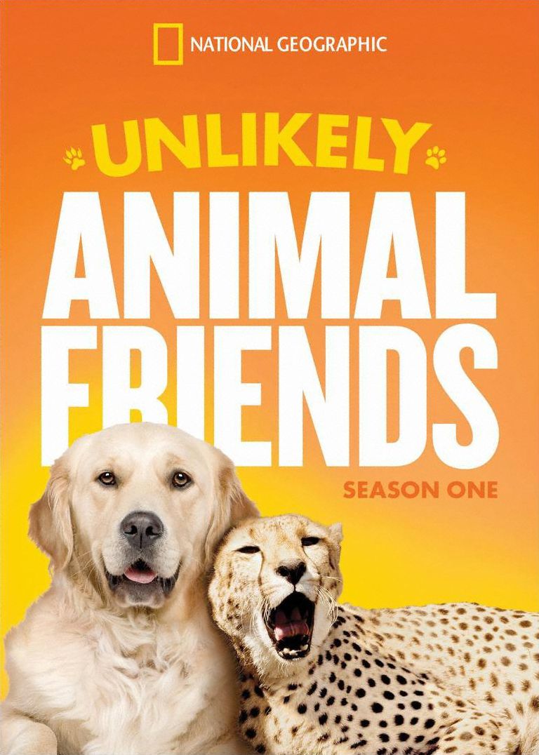 Unlikely Animal Friends: Season 1