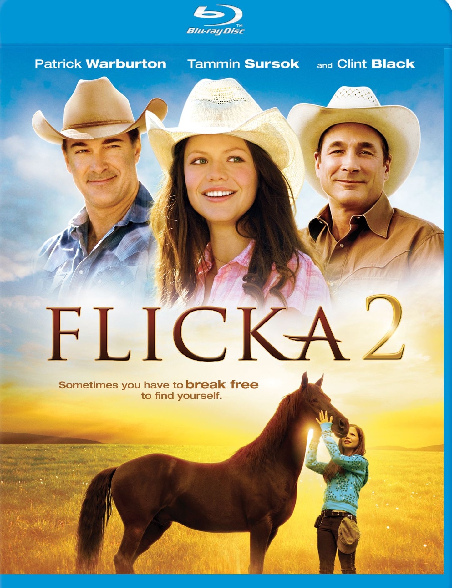 Flicka 2