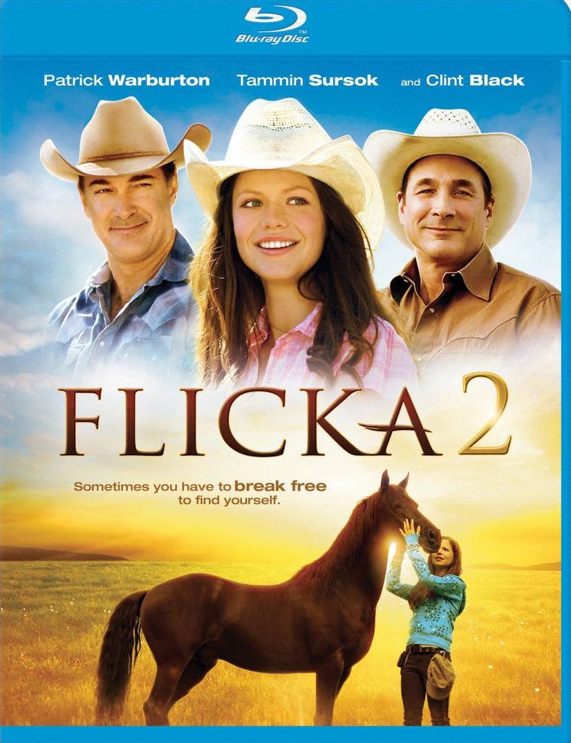 Flicka 2